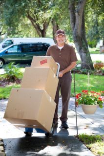 Assessing Children's Readiness for the Big Move removal services